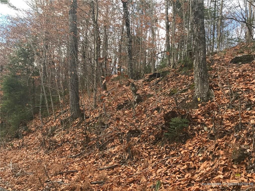 TBD Davidson Road Abbot ME 04406