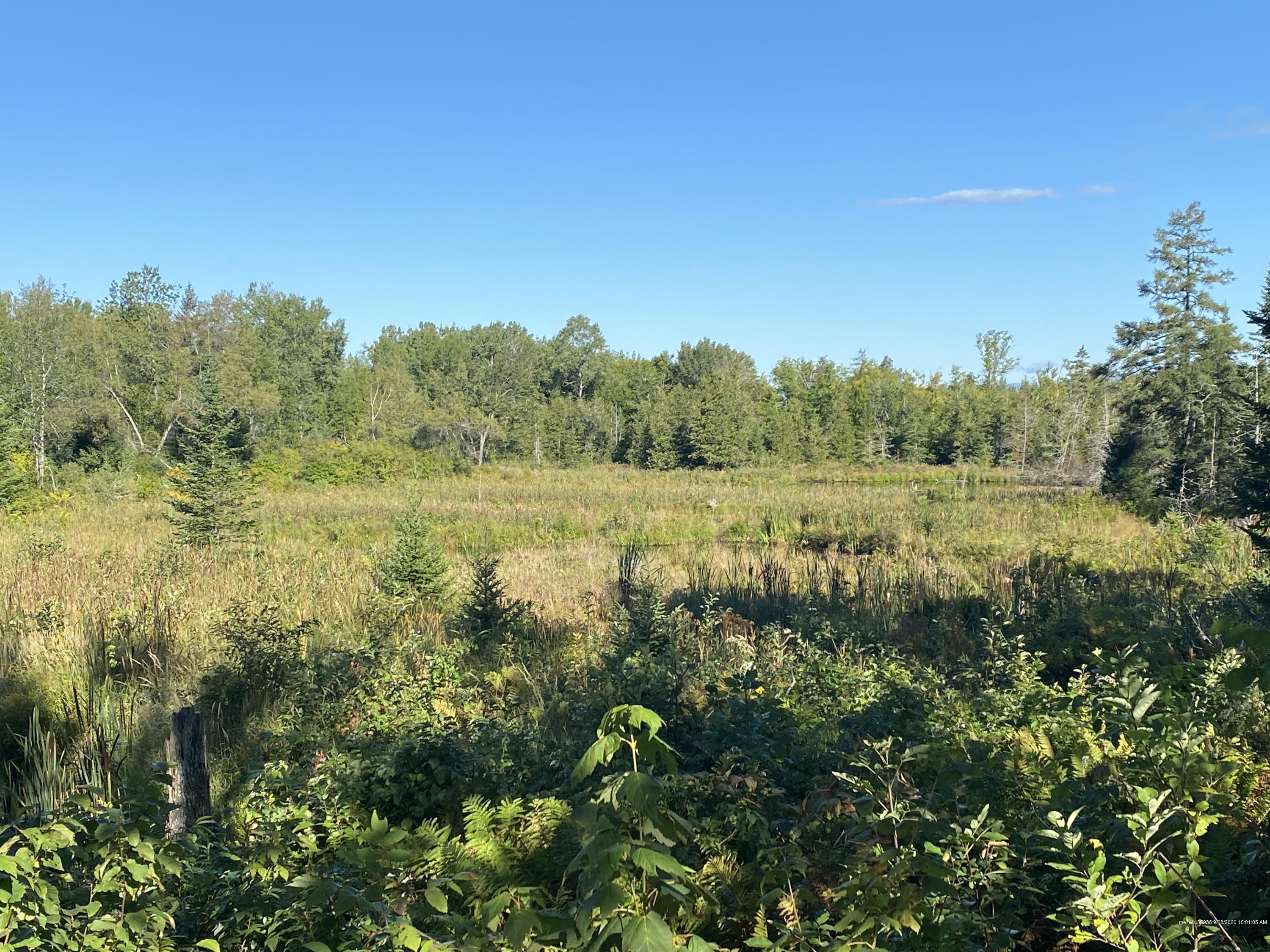Lot 1 Philpot Ridge Road Orneville Twp ME 04463