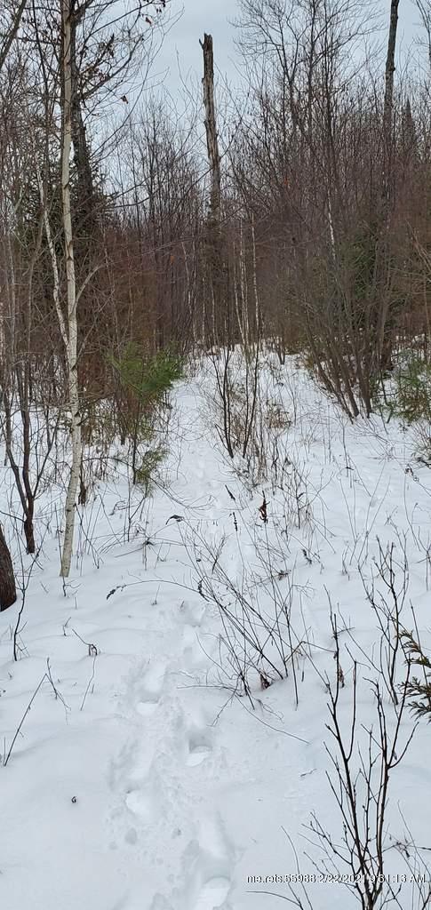 tbd Mt. Blue Pond Road Avon ME 04966