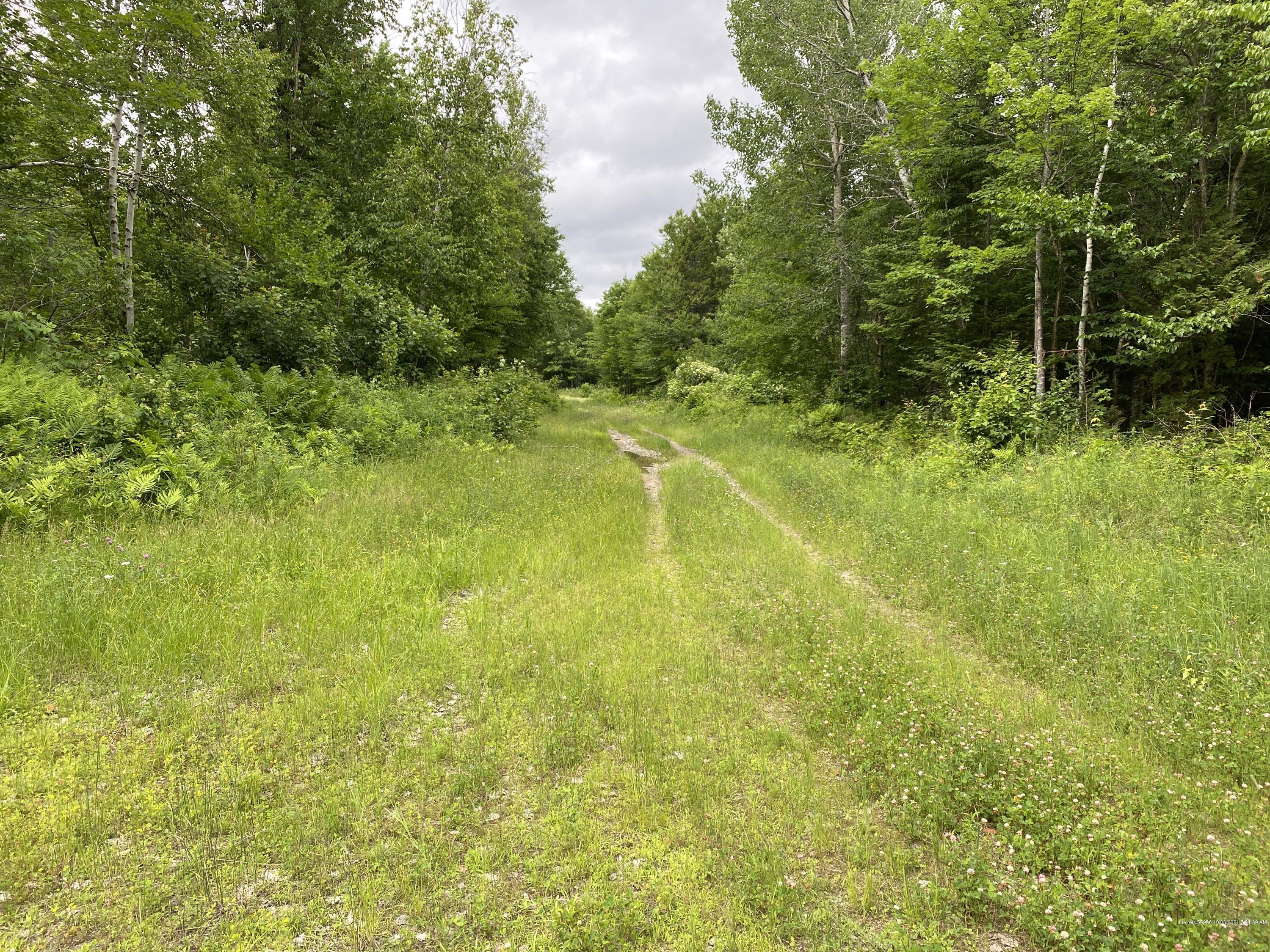 Lot 10 Averill Road Prentiss Twp T7 R3 NBPP ME 04487