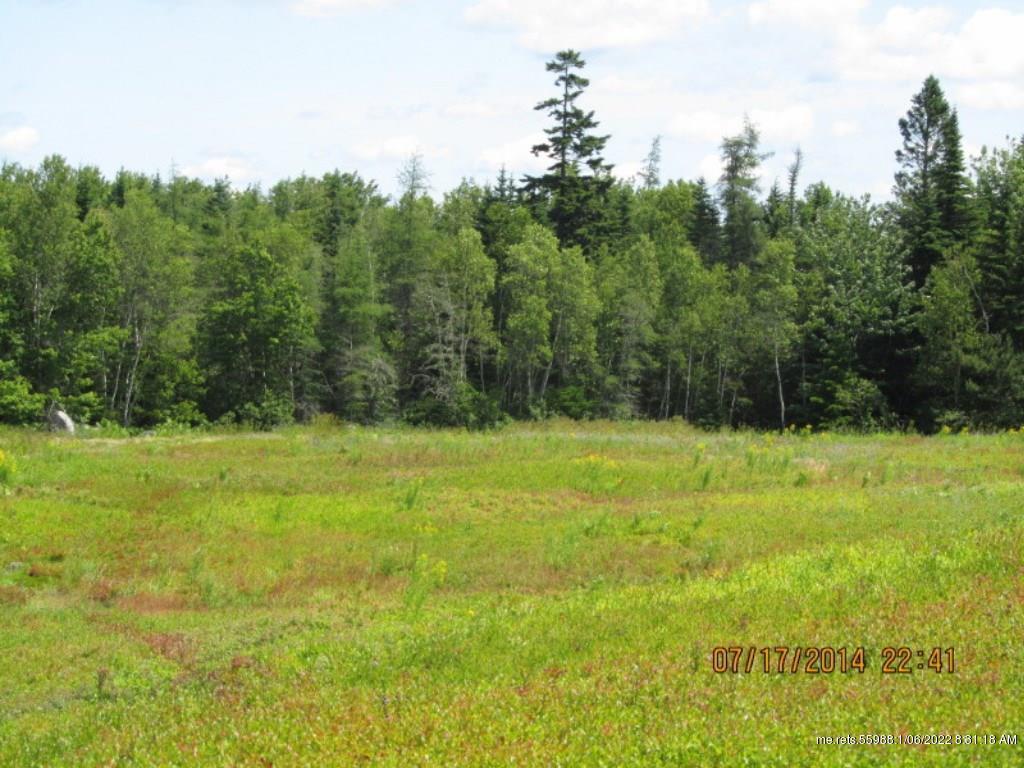 Lot 3 Roque Bluffs Road Roque Bluffs ME 04654