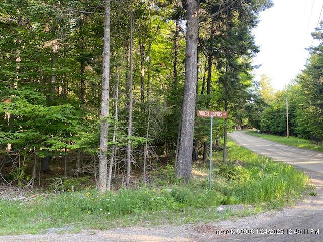 241 Forest Depths Road Beaver Cove ME 04441