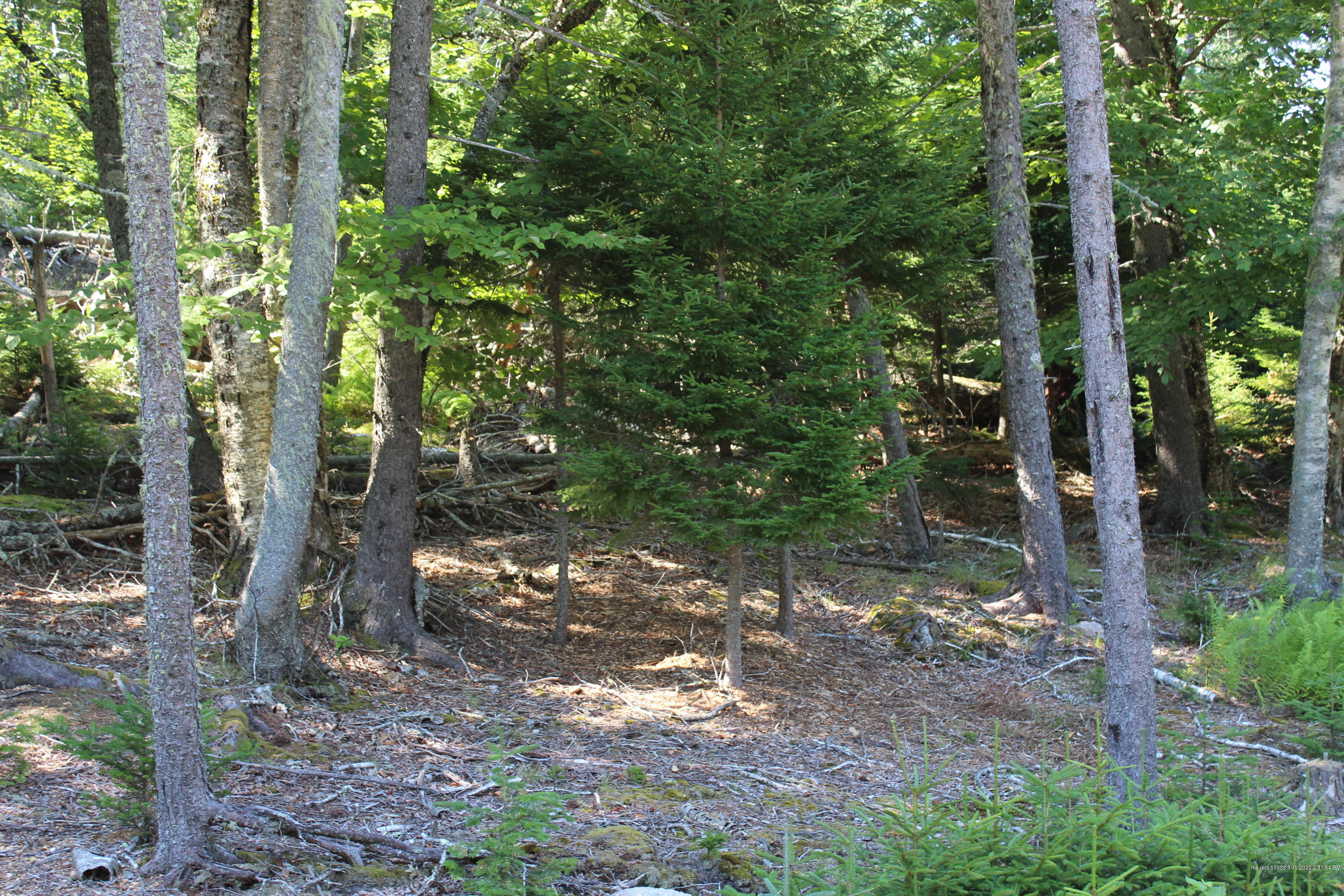 22 Warren Point Drive Deer Isle ME 04627