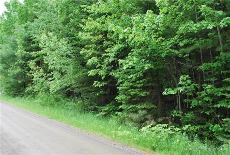 Trip Road Ripley ME 04930
