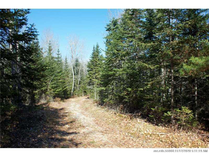 Lot 22 Granite Rock Circle Surry ME 04684