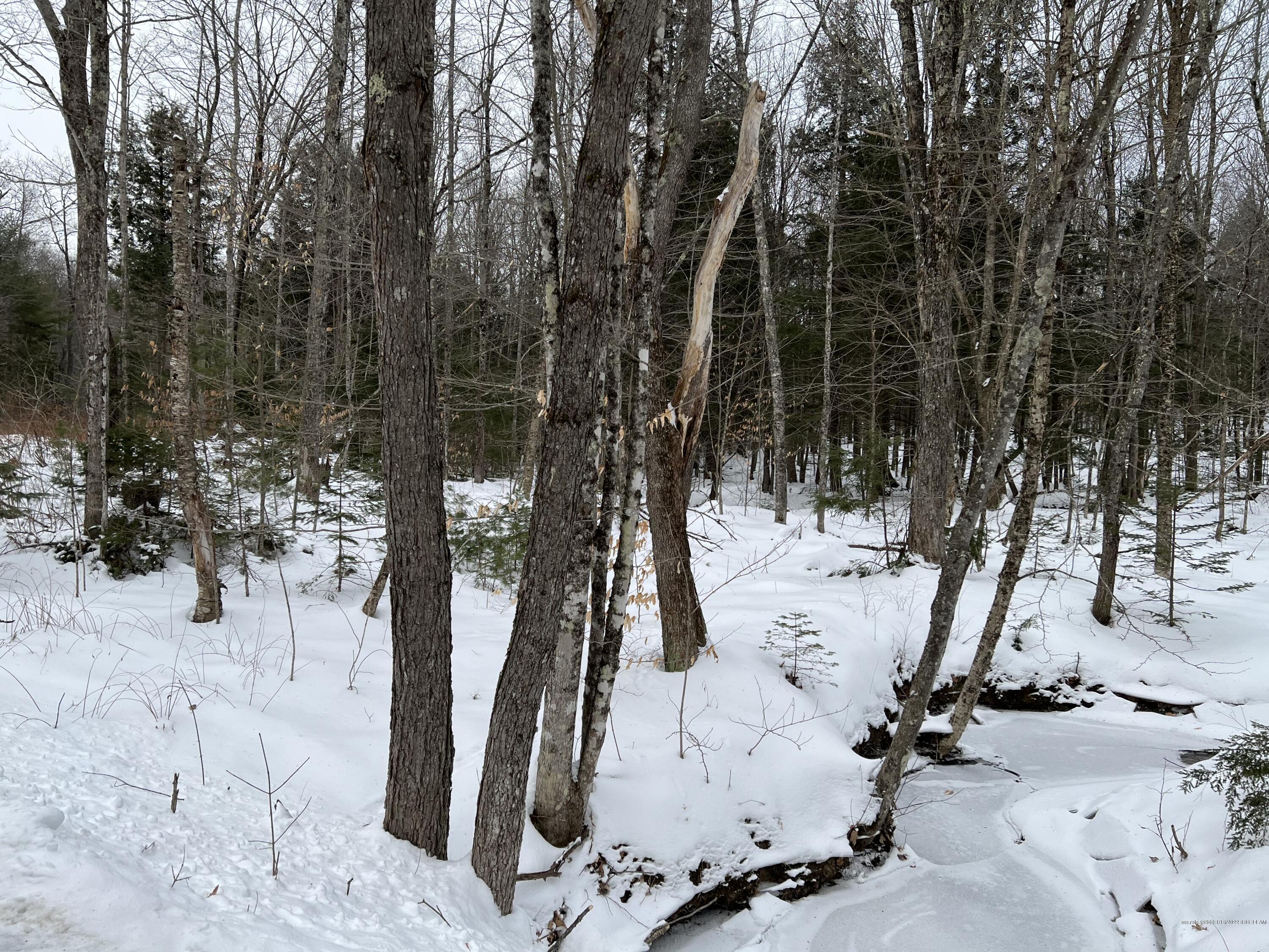 Swan Pond Road Hartford ME 04220