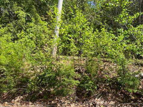 Lot 140 Pennmaric Road Augusta ME 04330