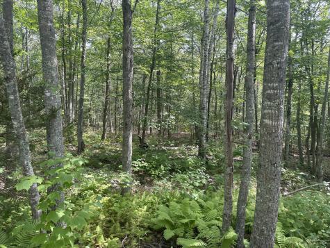 Bald Mountain Road Camden ME 04843