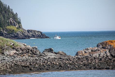 10 Wycove Way Lubec ME 04652