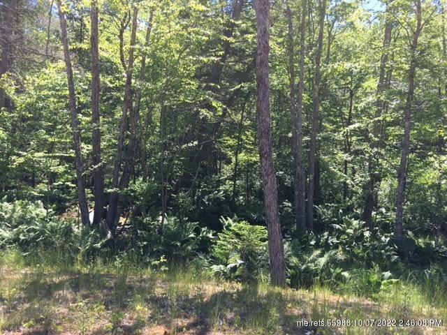 20 Tamarack Lane Cushing ME 04563
