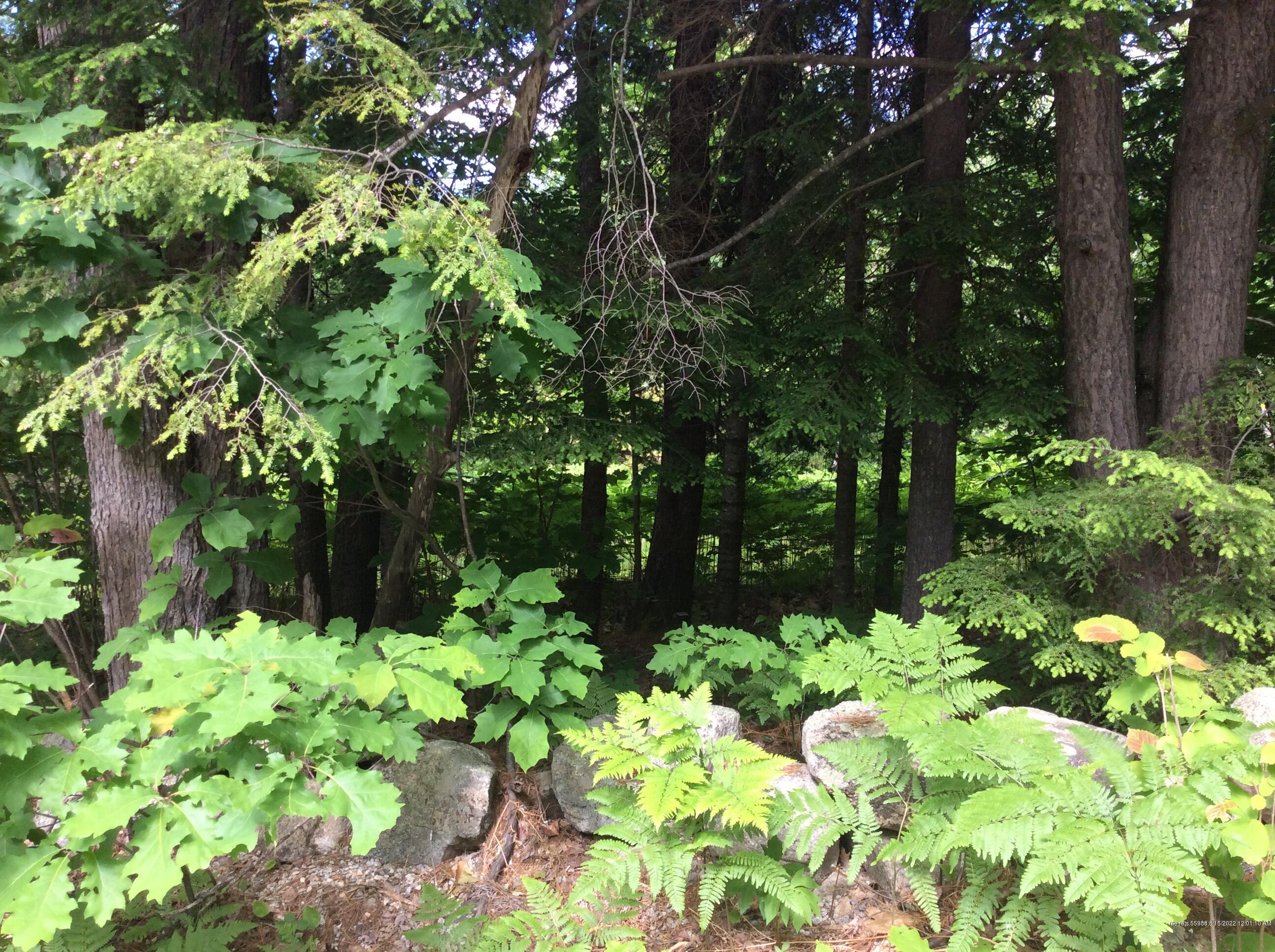 M8L6-6Part Hio Ridge Road Bridgton ME 04009