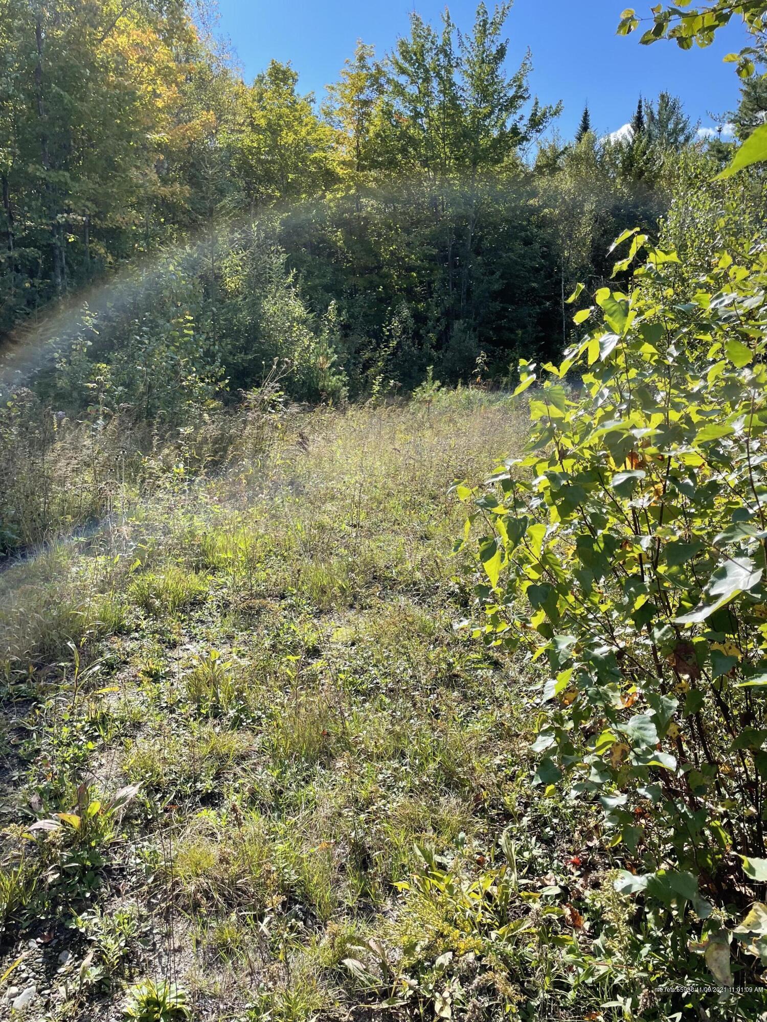Lot 18 Look Brook Circle Jay ME 04239