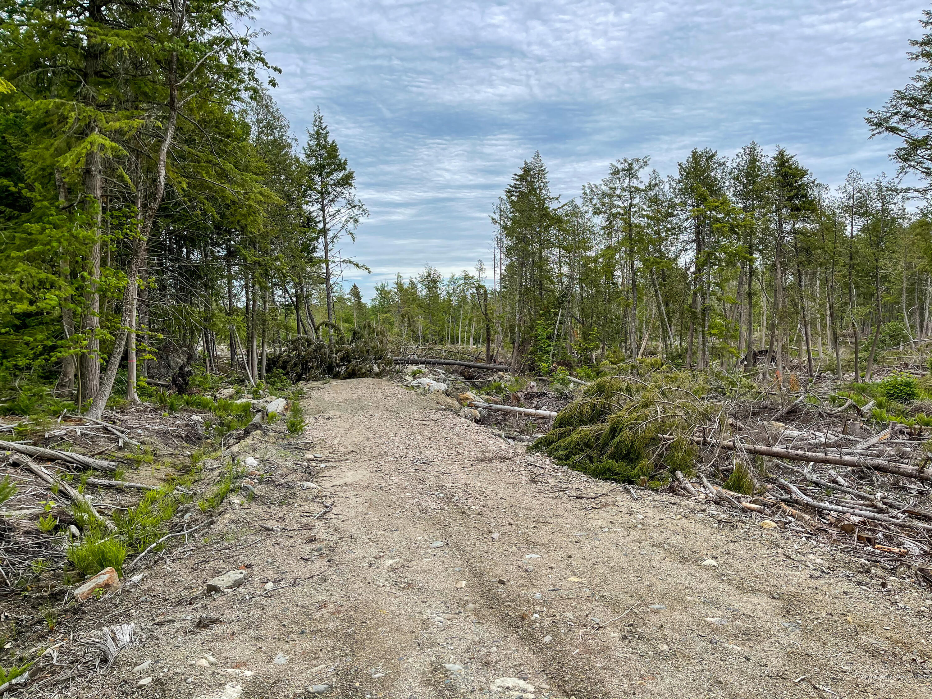 Woodland Road Ellsworth ME 04605