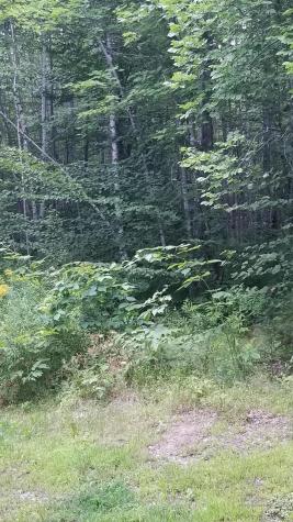 199 Arm Road Alexander ME 04694