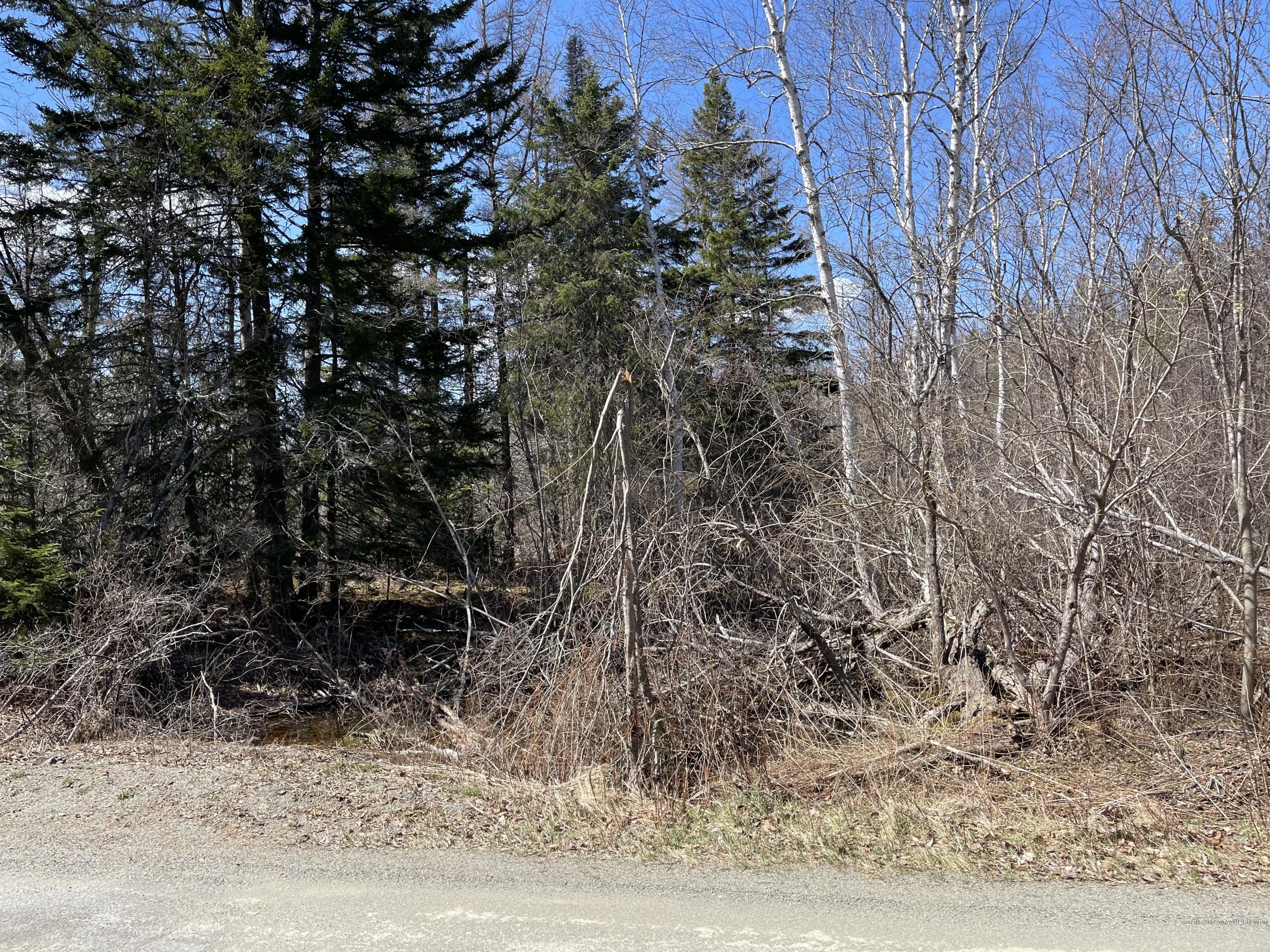 M7L47-48 Lead Mine Road Lubec ME 04652