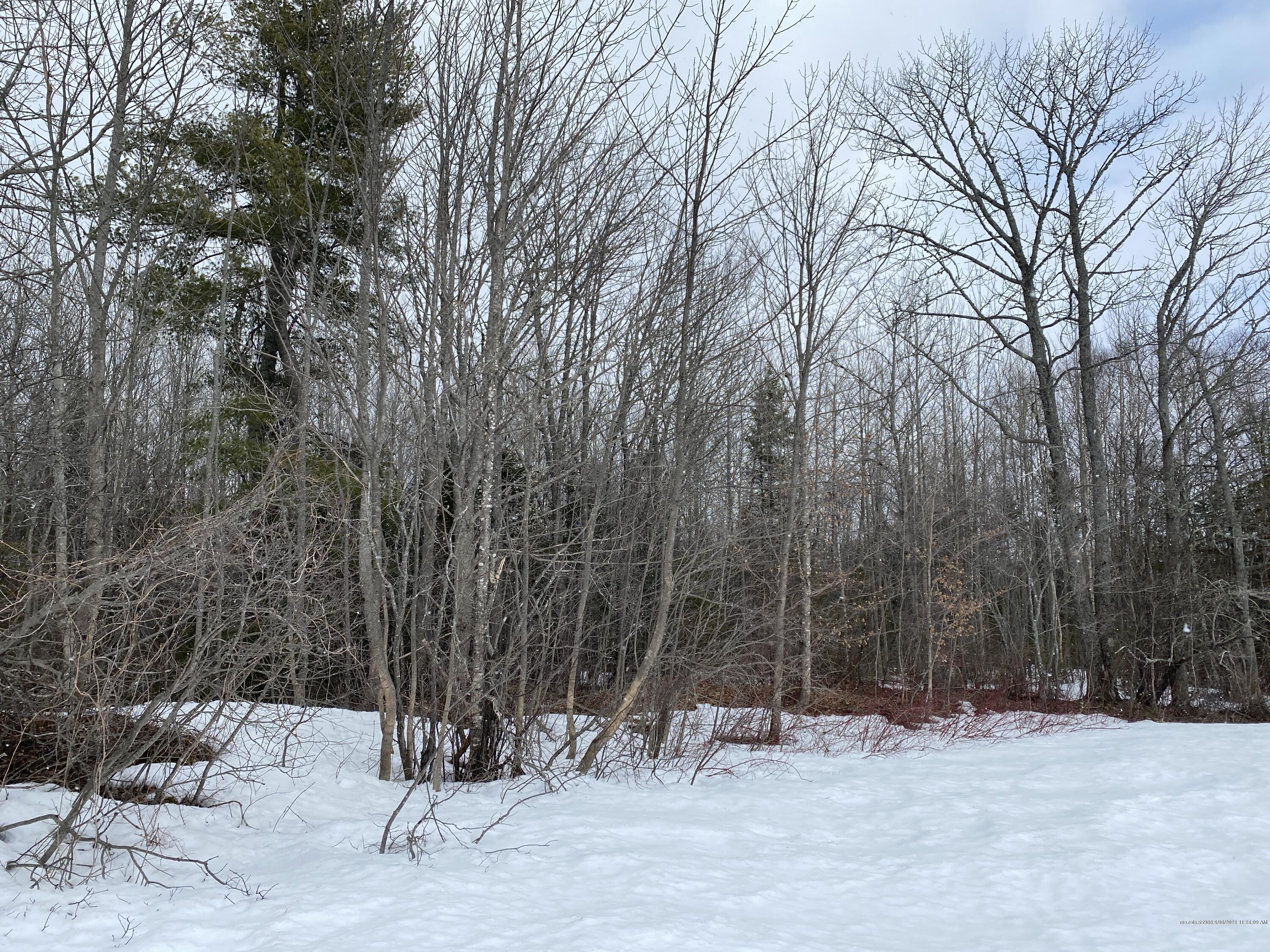 Lot 10C Crystal Brook Road Patten ME 04765