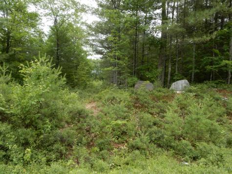 Lot 6 Oak Woods Hiram ME 04041
