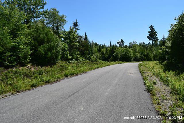 Lot 7 Surry Ridge Subdivision Surry ME 04684
