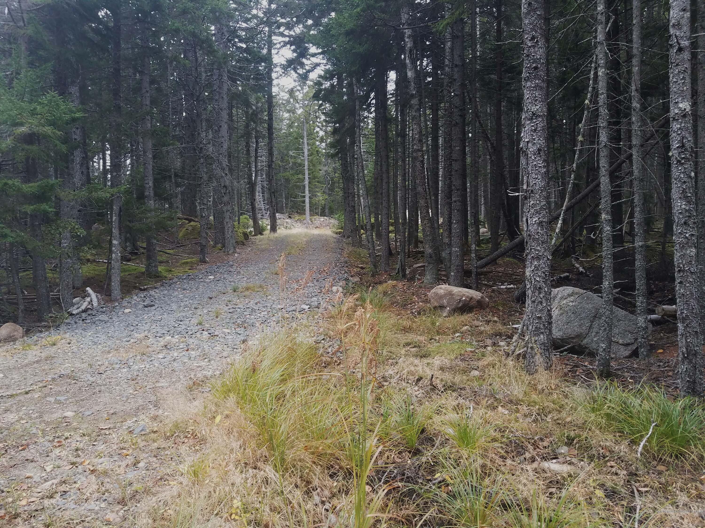 21 Forest Way Swans Island ME 04685